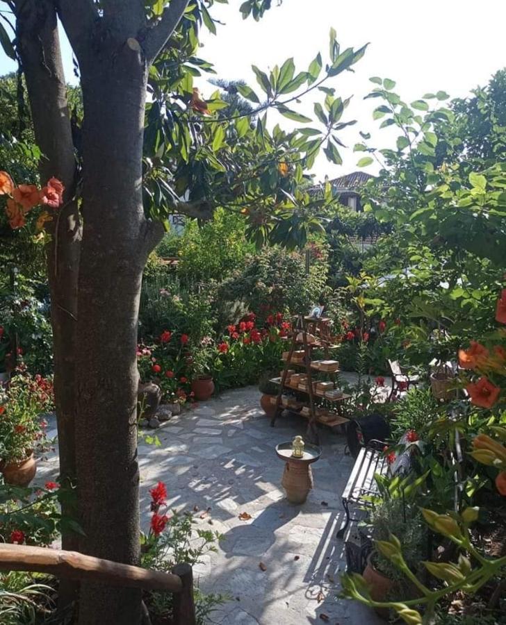 מלון Agnontas Stamatia'S Garden מראה חיצוני תמונה