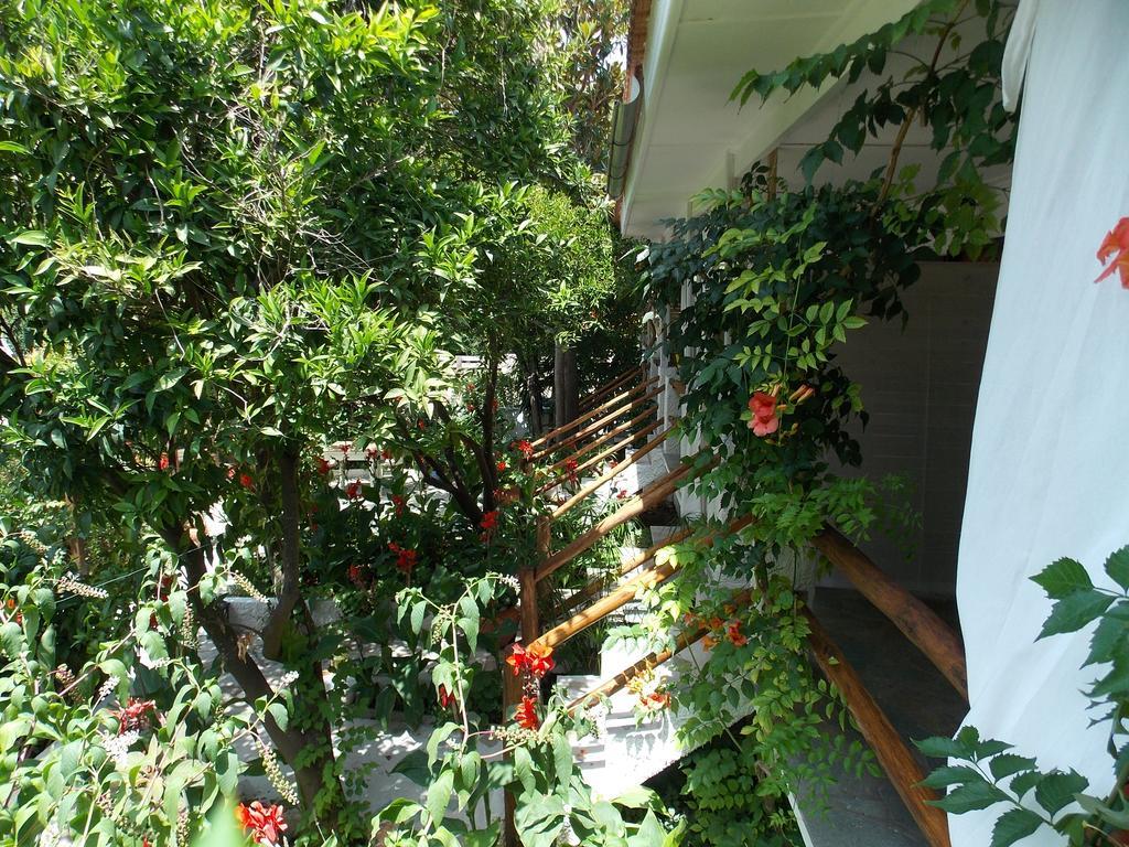 מלון Agnontas Stamatia'S Garden מראה חיצוני תמונה