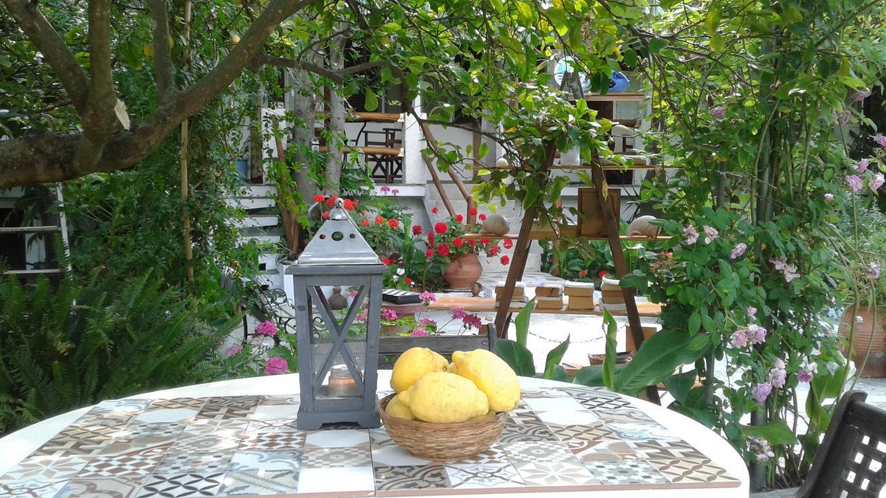 מלון Agnontas Stamatia'S Garden מראה חיצוני תמונה