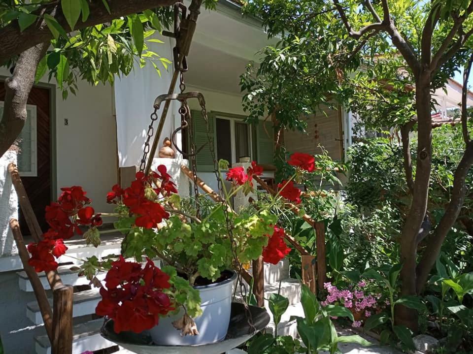 מלון Agnontas Stamatia'S Garden מראה חיצוני תמונה