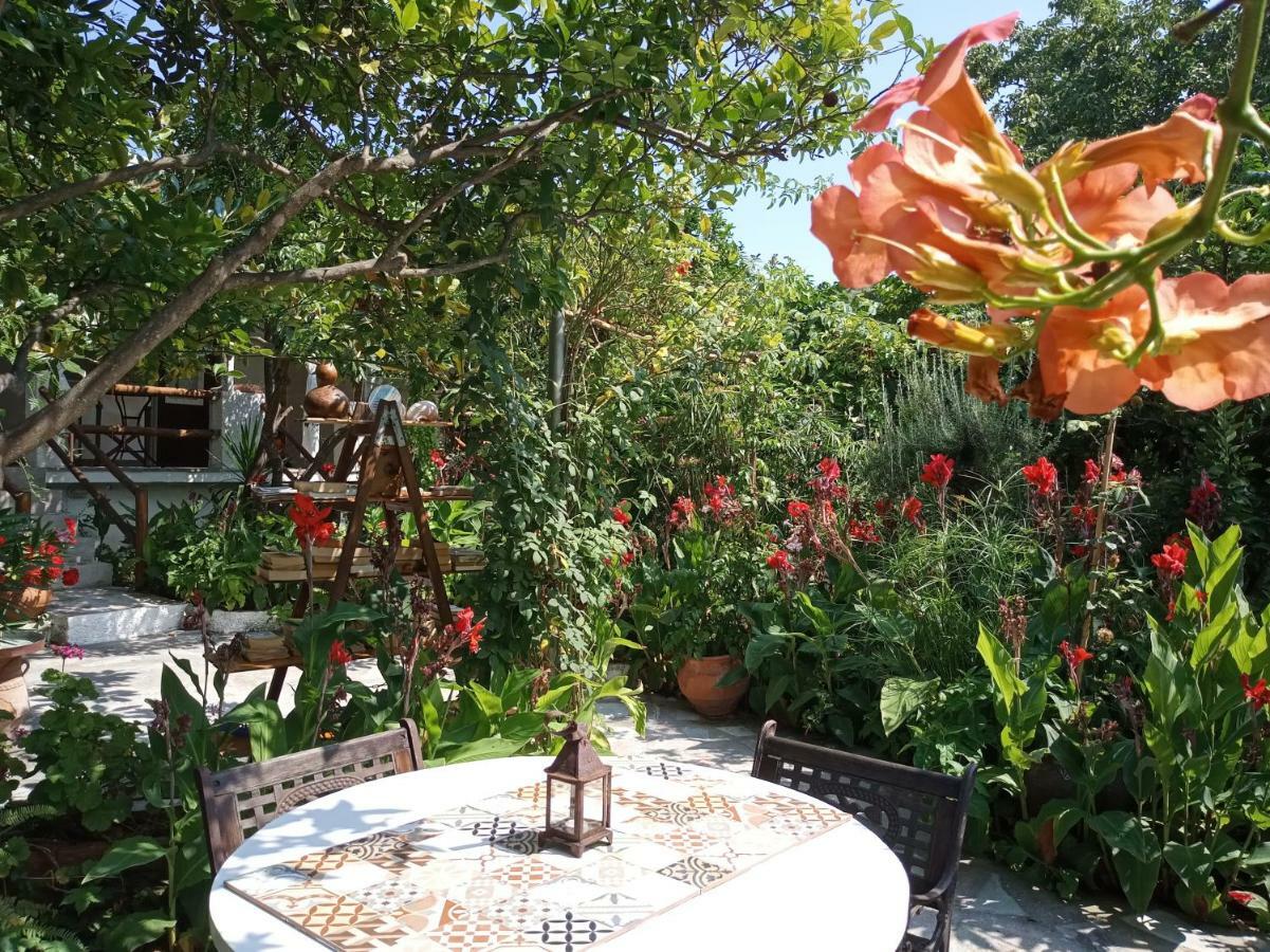 מלון Agnontas Stamatia'S Garden מראה חיצוני תמונה