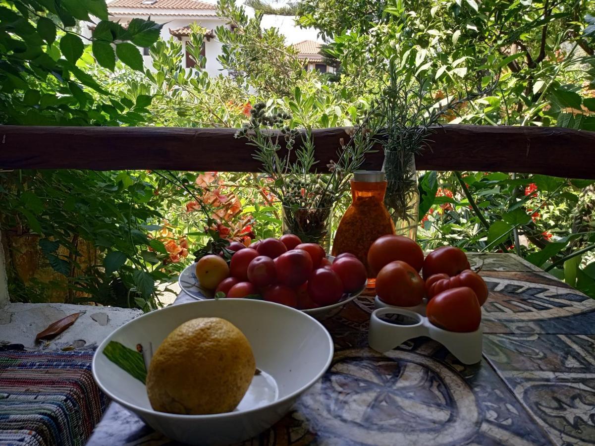 מלון Agnontas Stamatia'S Garden מראה חיצוני תמונה